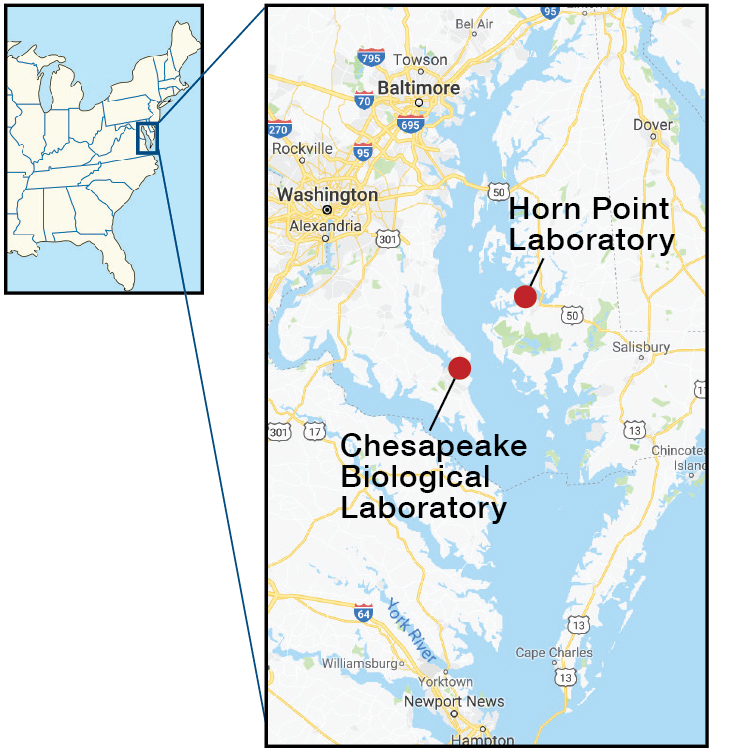 Chesapeake Bay map of REU locations