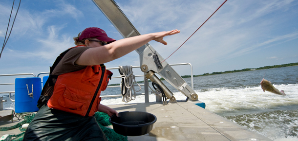 researcher on a boat throwing fish off